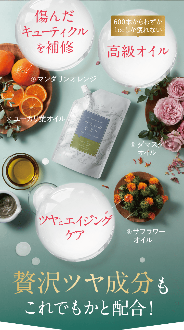 Amazon | 【 うねった髪もまとまる 】 ファンファレ わたしの